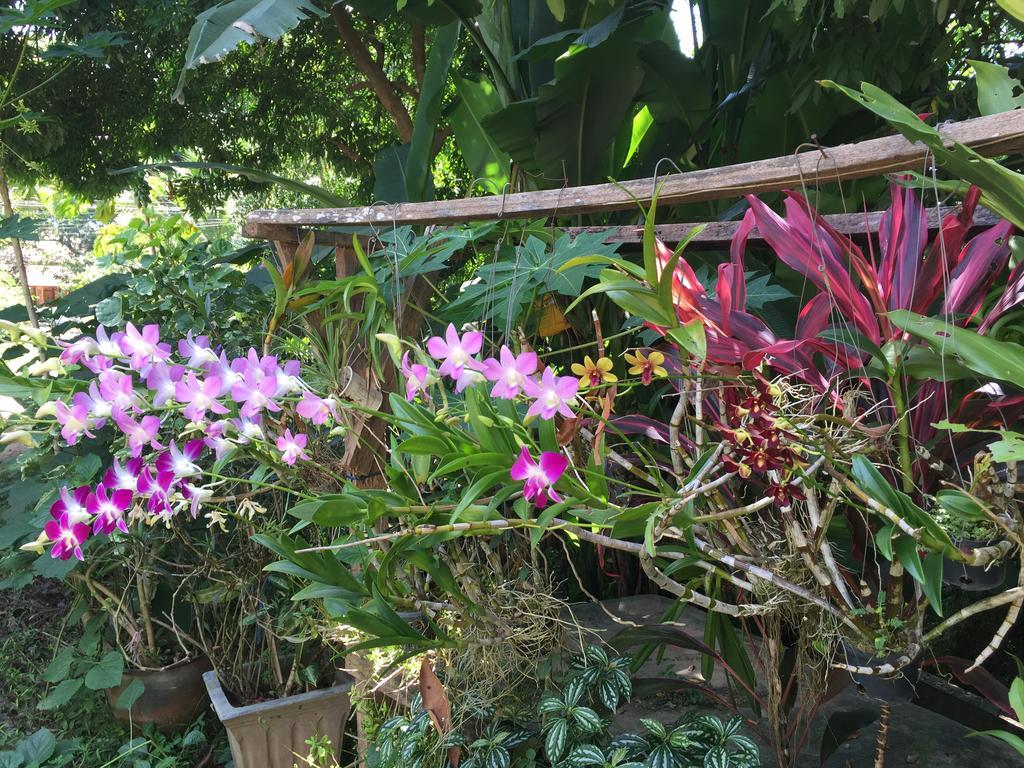 Ban Vivanh chambres d'hotes Luang Prabang Ngoại thất bức ảnh